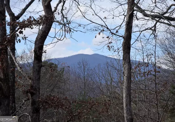 Blairsville, GA 30512,16 Souther Ridge Conn #78