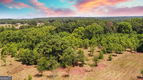 Hartwell, GA 30643,3439 TRACT 3 Providence Church RD