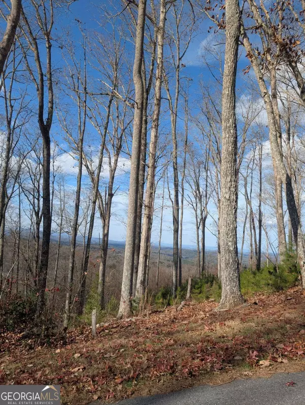 LOT 91 Winding RDG, Blairsville, GA 30512