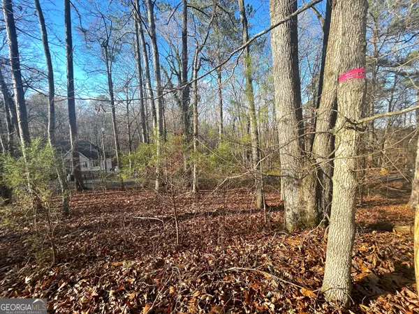 Villa Rica, GA 30180,3339 Cherokee CT