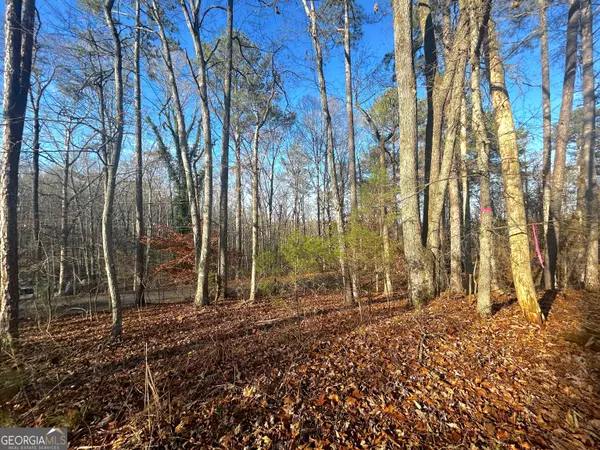 Villa Rica, GA 30180,3339 Cherokee CT