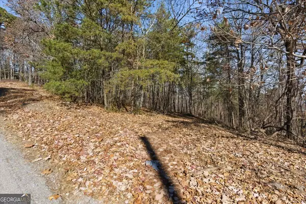 Ranger, GA 30734,1166 Hunter DR