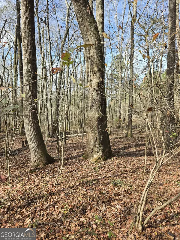 Barnesville, GA 30204,0 Yatesville RD