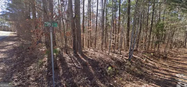 Monticello, GA 31064,0 Egret CT