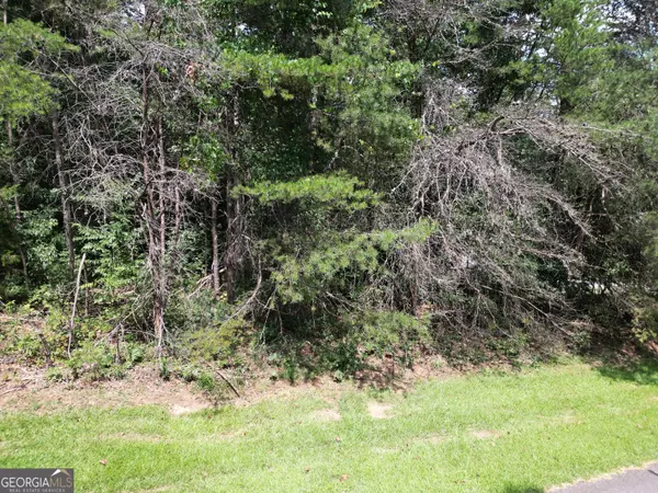 Toccoa, GA 30577,LOT 21 Deer Chase RD