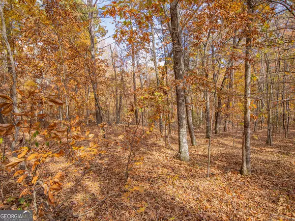 Kingston, GA 30145,0 Galway DR