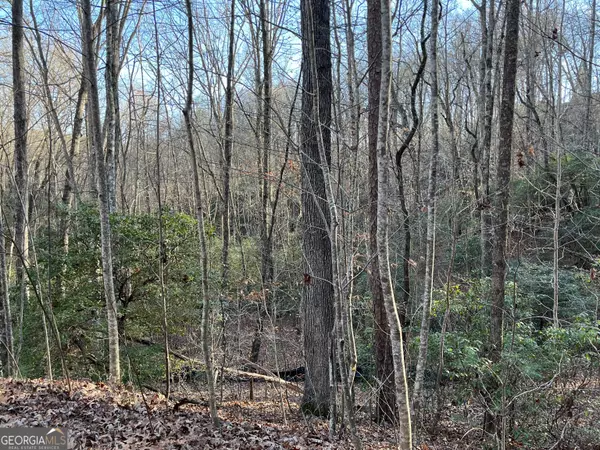 Clayton, GA 30525,0 Forest Canopy WAY #LOT #8