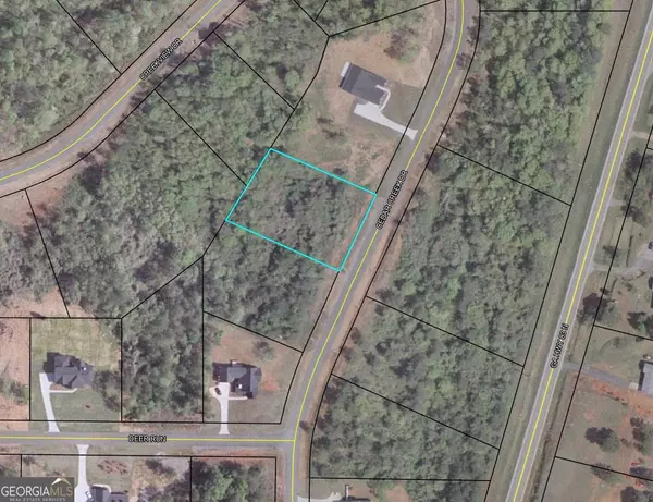 80 Cedar Creek DR, Forsyth, GA 31029