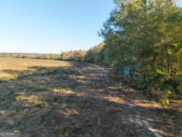 Wadley, GA 30477,1 S HWY 17