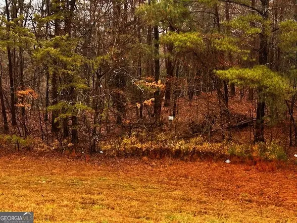 0 Talona RD, Ellijay, GA 30540