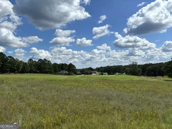 LOT 16 Camden WAY, Hawkinsville, GA 31036