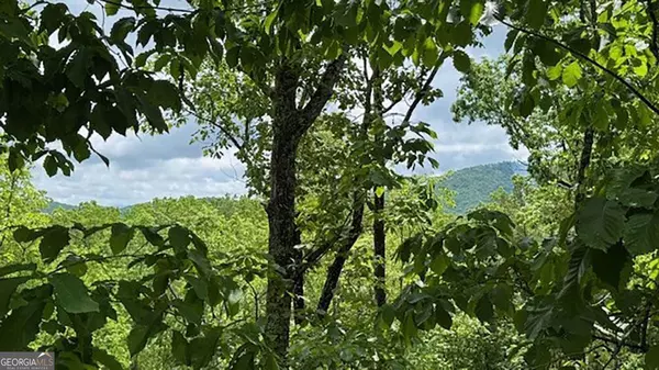 Mineral Bluff, GA 30559,108 Crabapple LN