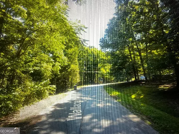 Snellville, GA 30039,0 Wallace CIR