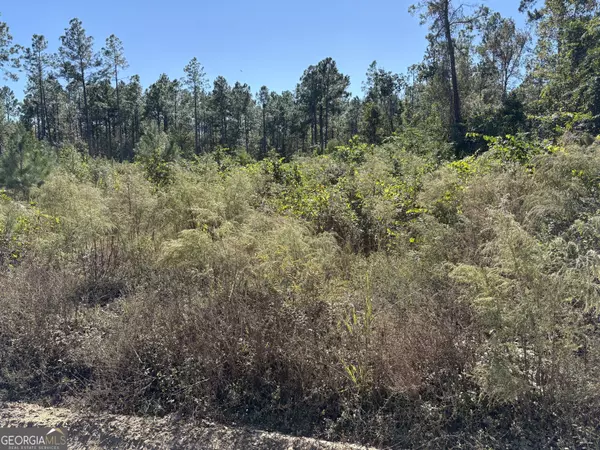 Brooklet, GA 30415,0 Mincey Rd