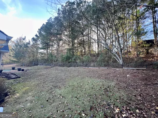 Hampton, GA 30228,11179 Knotty Pine PL