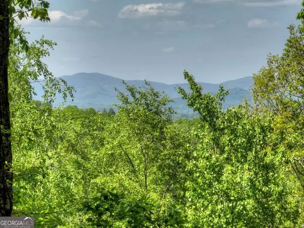 Blue Ridge, GA 30513,536 Lakeview RD #25