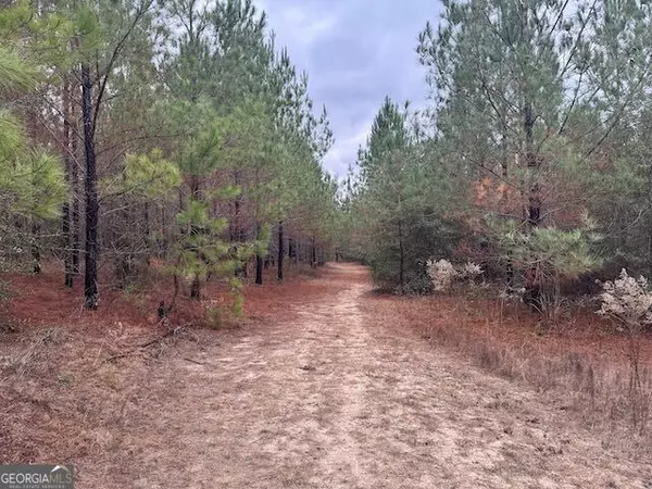 Tennille, GA 31089,60.06 AC. Daisy Walker RD