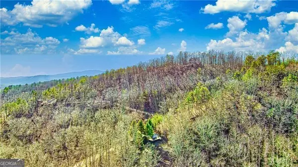 Ranger, GA 30734,875 Trinton DR