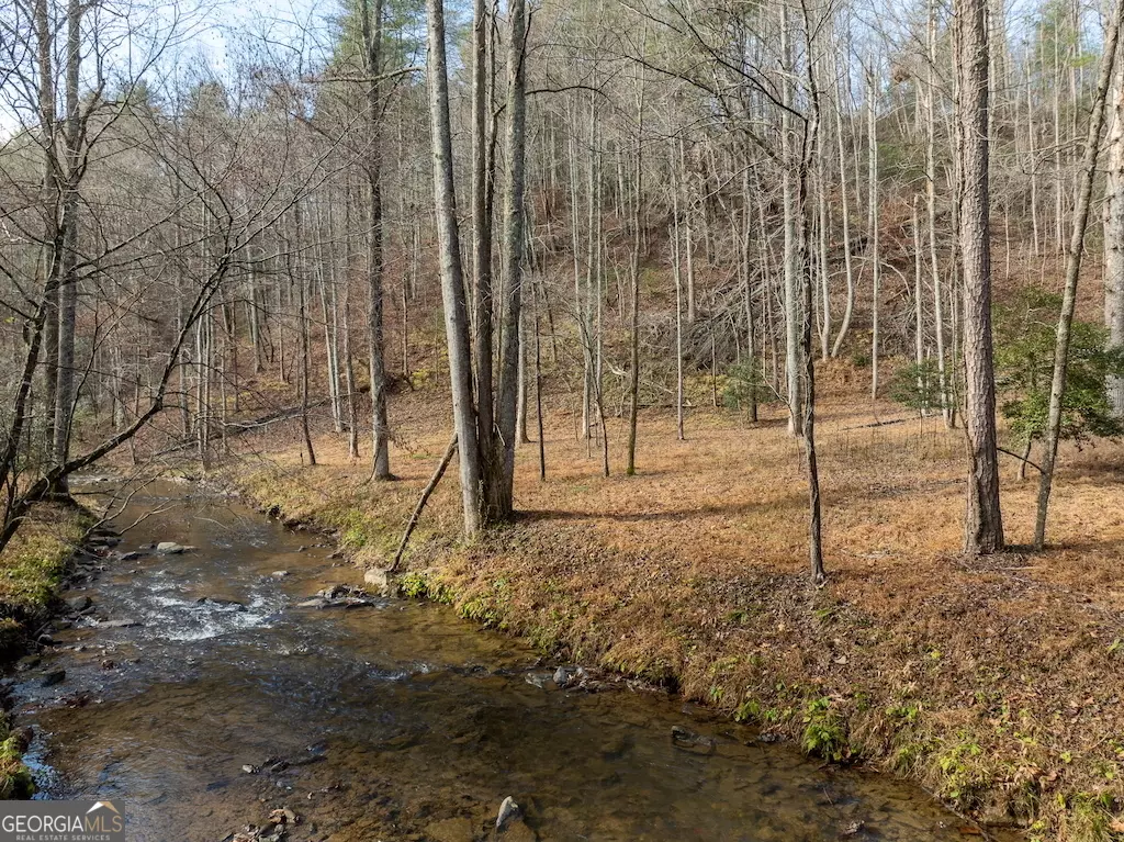 Ellijay, GA 30540,780 Banks RD