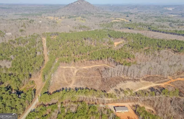 Toccoa, GA 30577,915 W Leatherwood RD