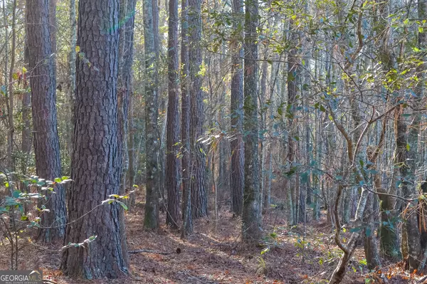 Cochran, GA 31014,0 Limestone RD