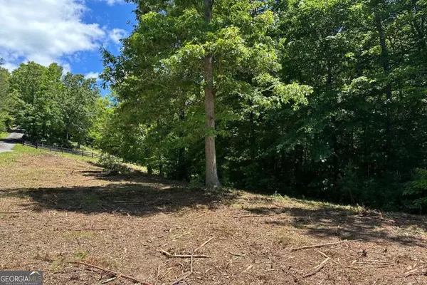 Hayesville, NC 28904,LOT 8 Moore Acres