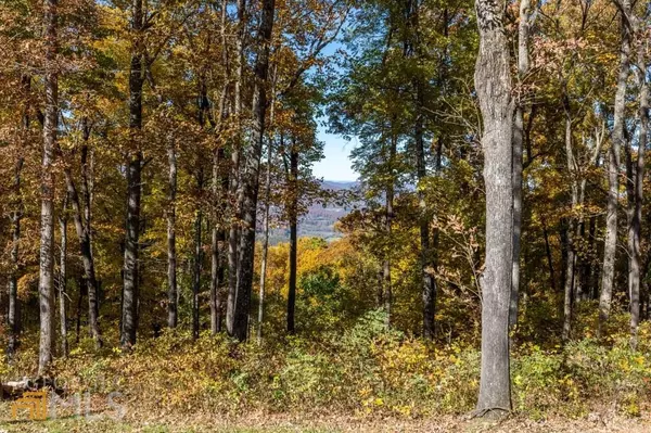 Young Harris, GA 30582,LOT 24 Rocky Knob