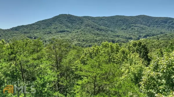 Blue Ridge, GA 30513,LT 7 Deer Crest