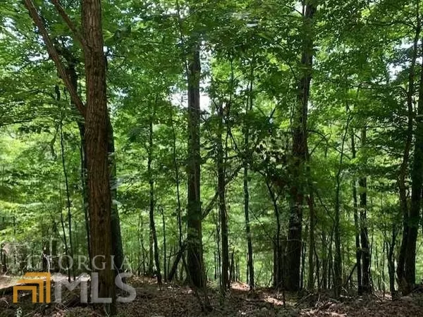 Morganton, GA 30560,0 Bear Track