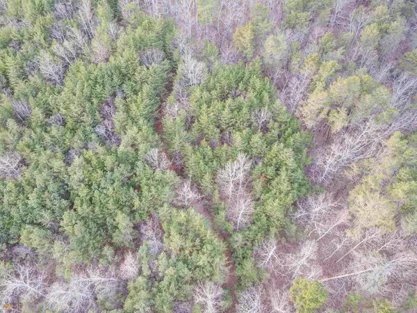 Rome, GA 30165,0B Horseleg Creek RD