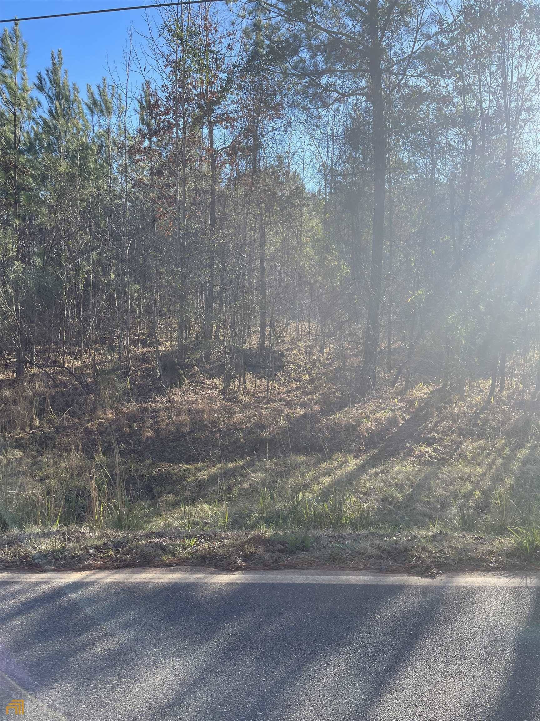 LOT 40 Long Shoals AVE, Eatonton, GA 31024