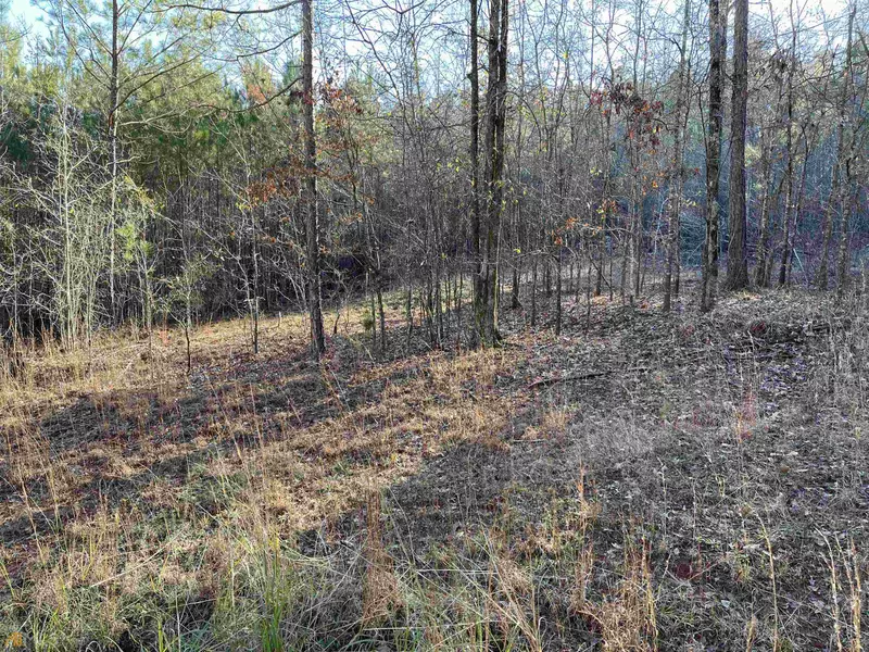 LOT 38 Long Shoals AVE, Eatonton, GA 31024