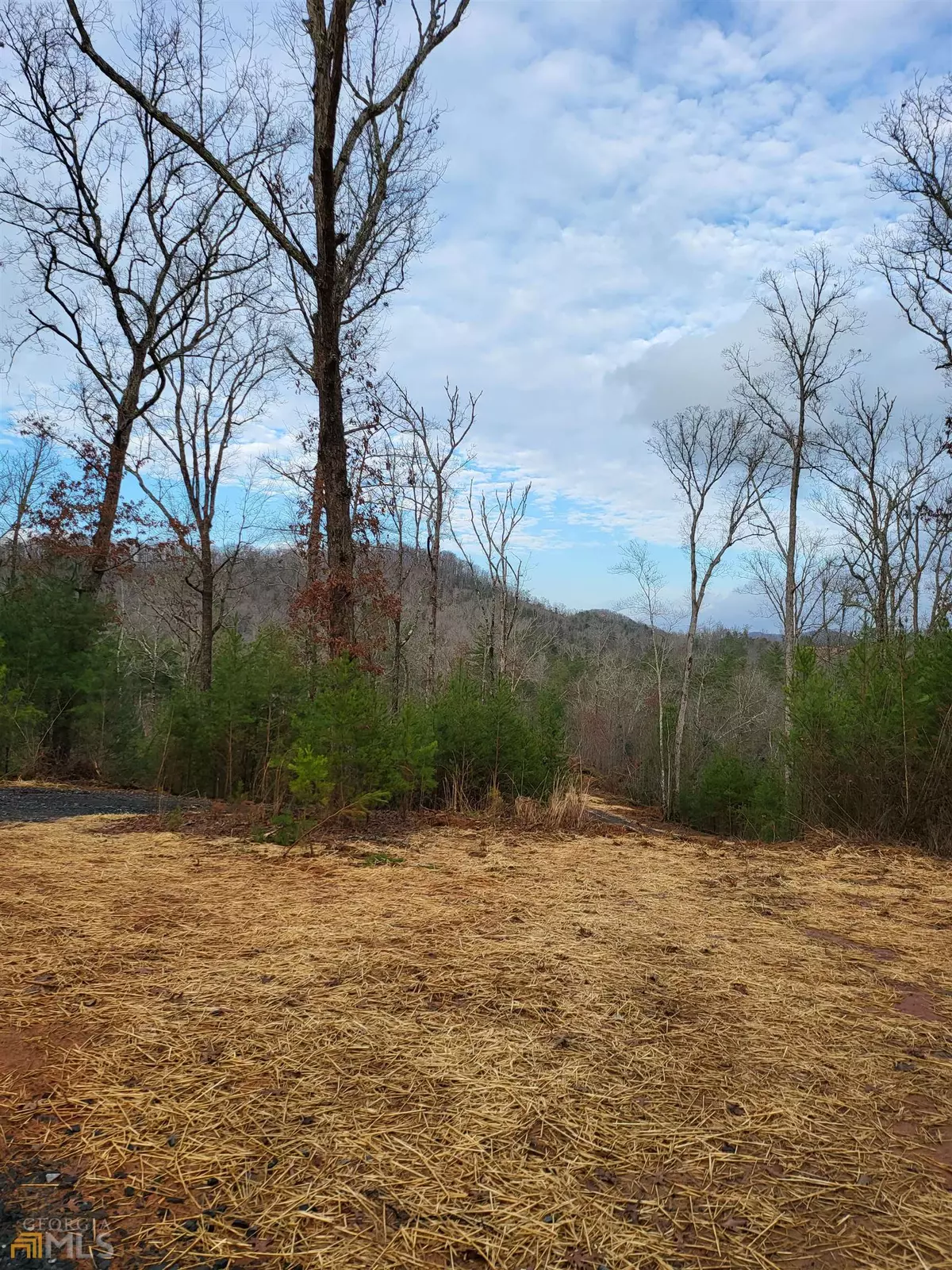 Morganton, GA 30560,5 AC Lowery Road