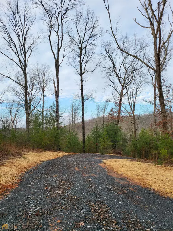 Morganton, GA 30560,5 AC Lowery Road