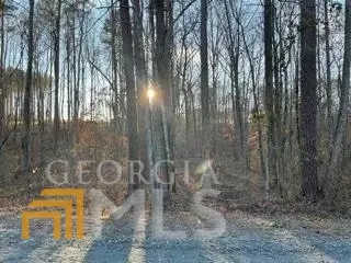 342 Old East Silver Shoals, Toccoa, GA 30577