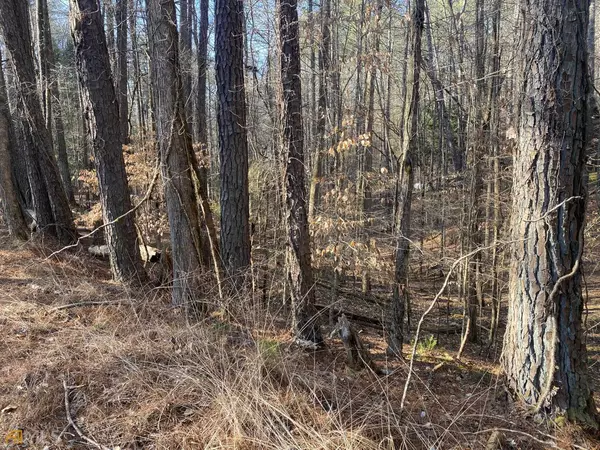 Ellijay, GA 30540,LOT 321 Lemmon Ln