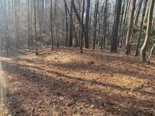 Ellijay, GA 30540,LOT 322 Lemmon Ln