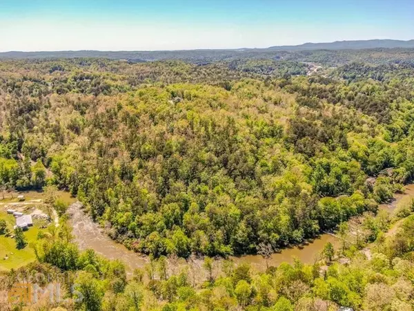 Ellijay, GA 30540,0 Bluffs At Cartecay - Lt 76