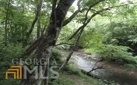 Young Harris, GA 30582,1 Settlement