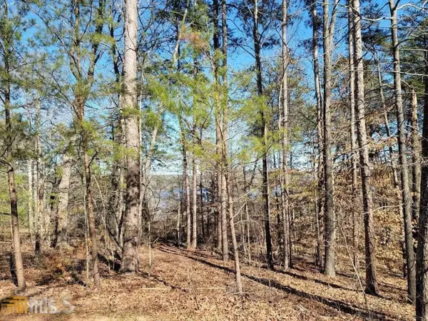 Toccoa, GA 30577,91 Edgewater TRL