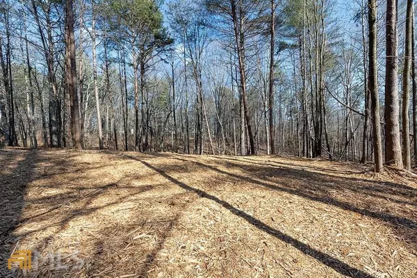 Demorest, GA 30535,0 High Vista