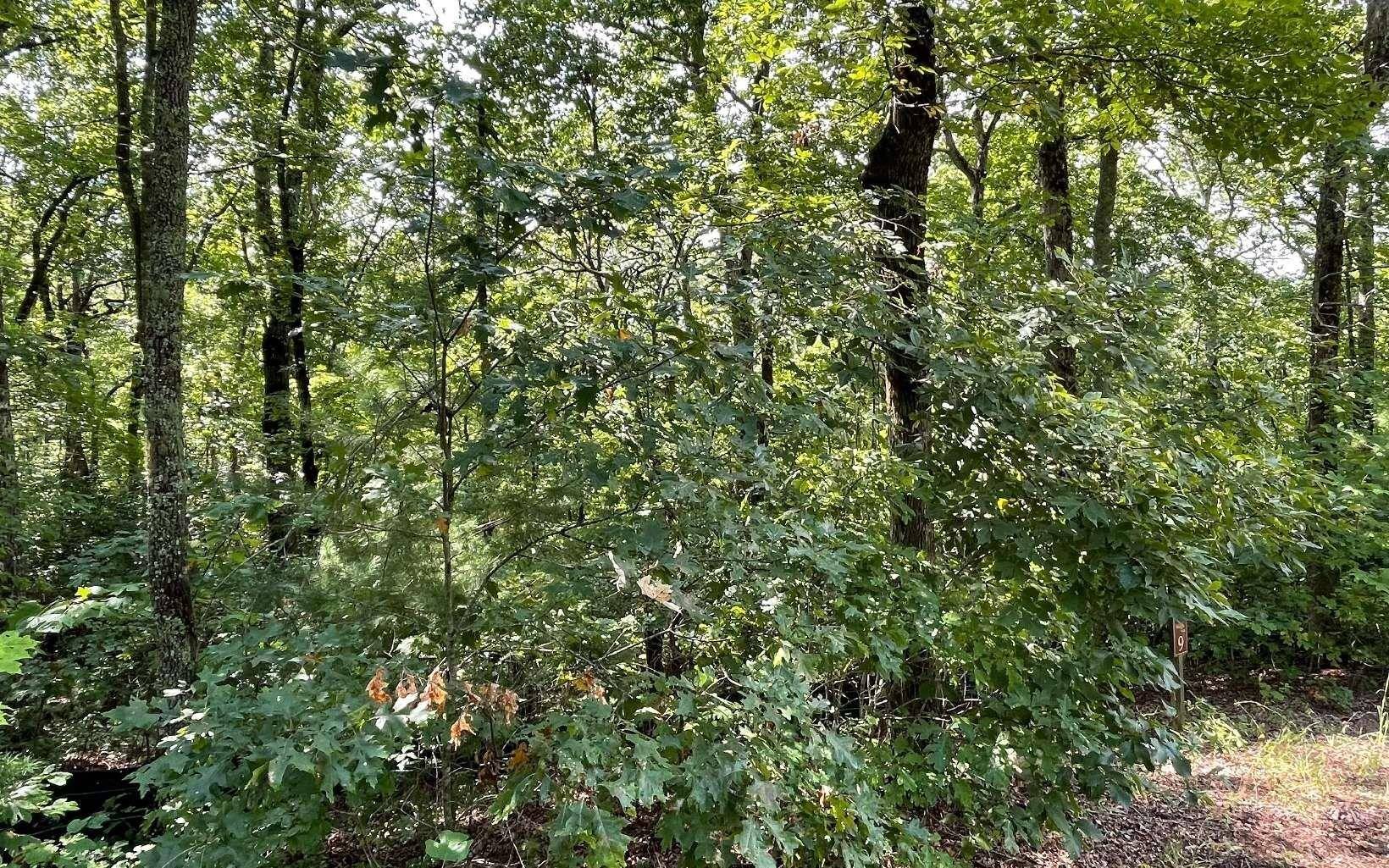 Hiawassee, GA 30546,LOT 9 Wolfpen Gap Sub