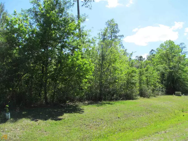 LOT 79 Branch Creek, Woodbine, GA 31569