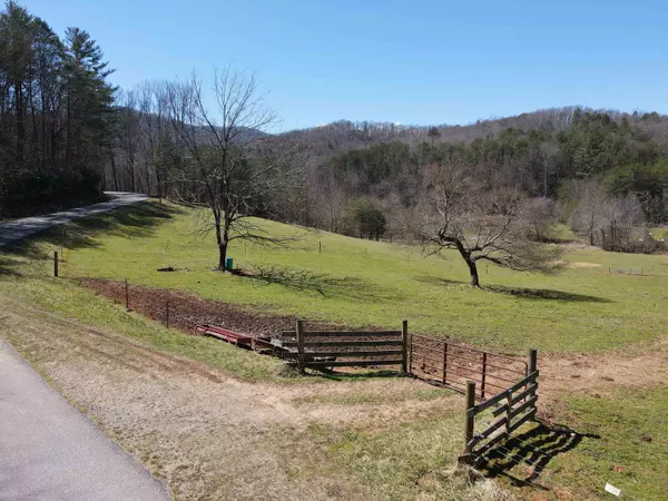 53.7 ACRES Mt Pleasant Church, Blairsville, GA 30512