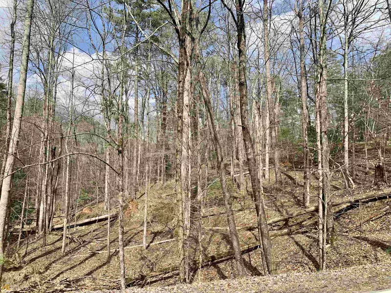 LOT 1727 Newport Drive, Ellijay, GA 30540