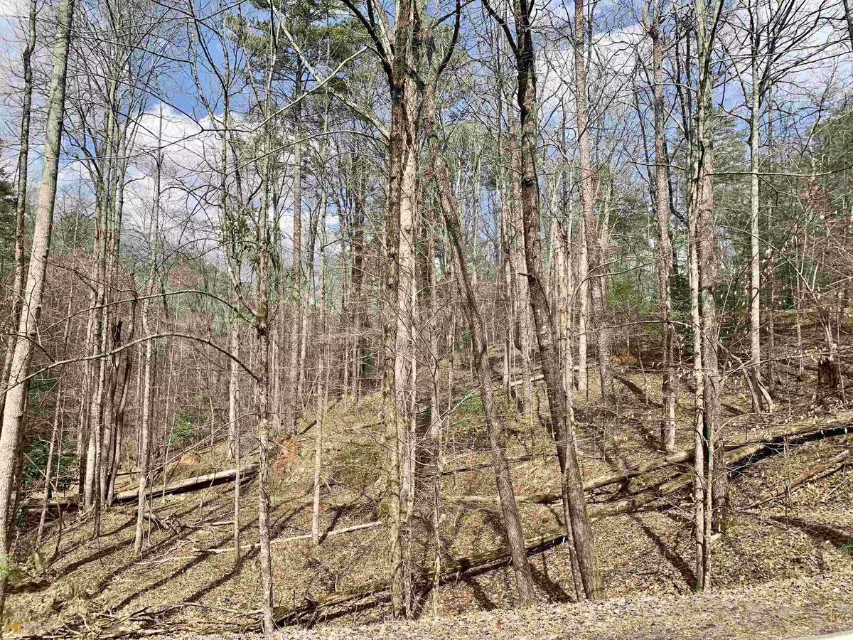 Ellijay, GA 30540,LOT 1727 Newport Drive