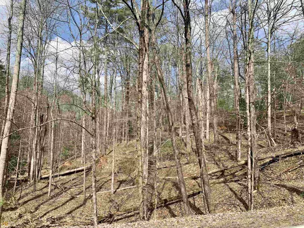 LOT 1727 Newport Drive, Ellijay, GA 30540