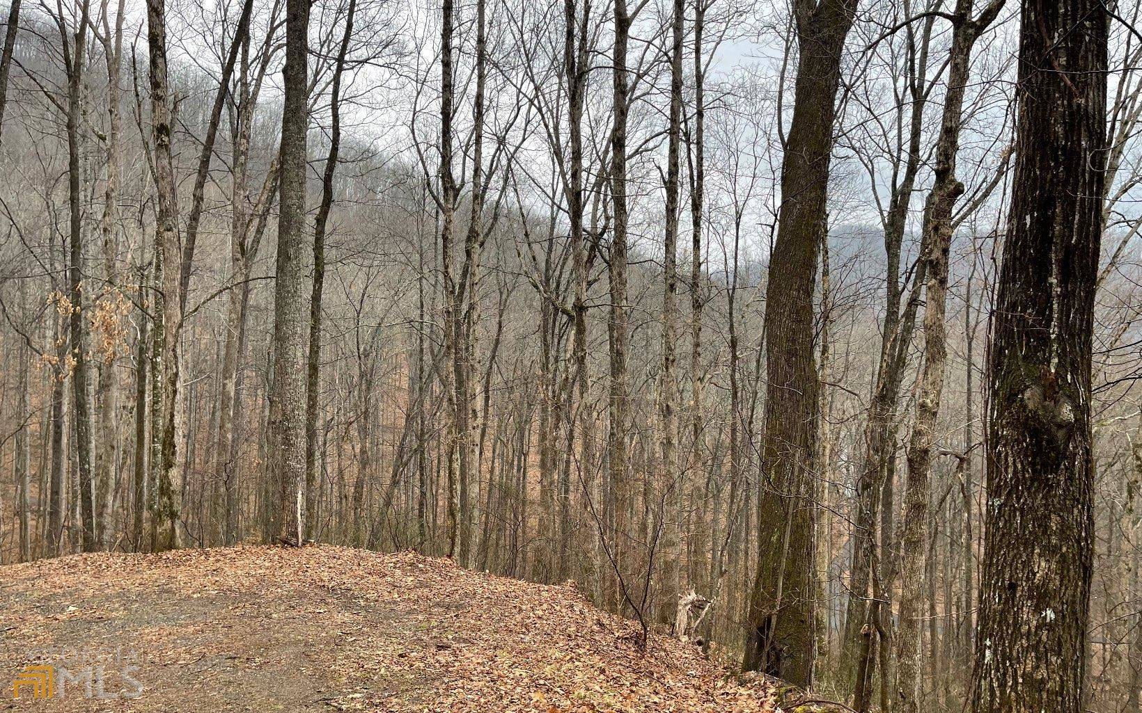Hayesville, NC 28904,LOT 18 Shooting Creek Trails