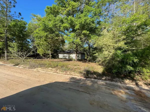 Hortense, GA 31543,0 River Ridge Loop