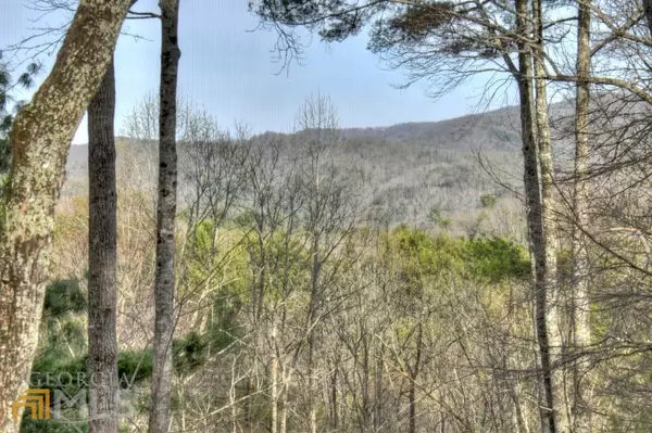 Blue Ridge, GA 30513,38 Holloway